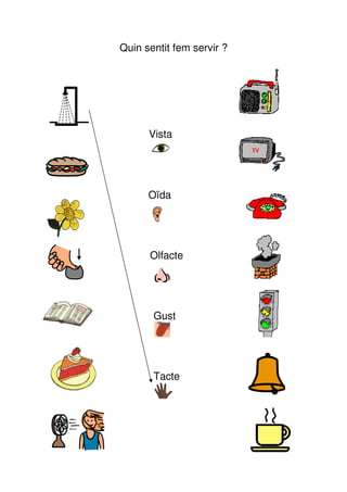 Quin sentit fem servir ?




      Vista




      Oïda




      Olfacte




       Gust




       Tacte
 