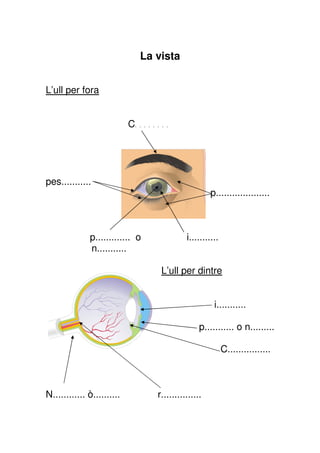 La vista


L’ull per fora


                            C........




pes...........
                                                     p....................



              p............. o              i...........
              n...........

                                   L’ull per dintre


                                                      i...........

                                                 p........... o n.........

                                                           C................



N............ ò..........         r...............
 