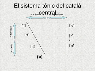 El sistema tònic del català
                            central
                    + anterior   + posterior



                [ˈi]                   [ˈu]
+ tancada




                  [ˈe]                 [ˈo
                                       ]

                                       [ˈɔ]
  + oberta




                         [ˈɛ]


                                [ˈa]
 