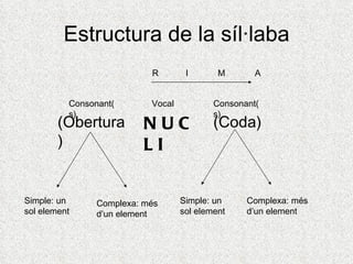 Estructura de la síl·laba
                           R        I       M       A


          Consonant(       Vocal           Consonant(
          s)                               s)
        (Obertura         NUC              (Coda)
        )                 LI


Simple: un      Complexa: més      Simple: un     Complexa: més
sol element     d’un element       sol element    d’un element
 