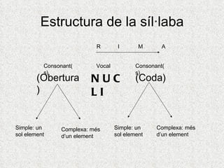 Estructura de la síl·laba
                           R        I       M       A


          Consonant(       Vocal        ...