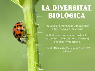 LA DIVERSITAT BIOLÒGICA “ La varietat de formes de vida que viuen a la terra o que hi han viscut. La biodiversitat actual és el resultat d’un procés lent d’evolució (selecció natural) que dóna noves espècies. Hi ha 30 milions espècies en coneixem 2 milions.“ 