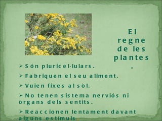 El regne de les plantes. Són pluricel·lulars. Fabriquen el seu aliment. Vuien fixes al sòl. No tenen sistema nerviós ni òrgans dels sentits. Reaccionen lentament davant alguns estímuls . 