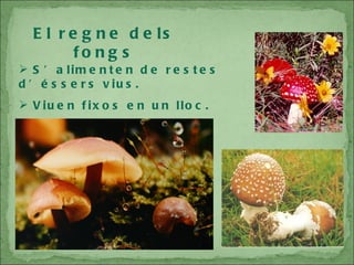 El regne dels fongs S’alimenten de restes d’éssers vius. Viuen fixos en un lloc. 