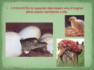 Reproducció:  És la capacitat dels éssers vius d’originar altres éssers semblants a ells. 