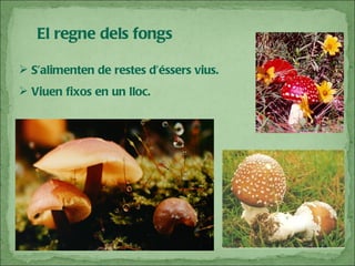 El regne dels fongs S’alimenten de restes d’éssers vius. Viuen fixos en un lloc. 