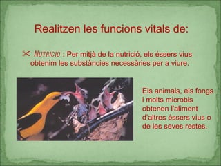 Realitzen les funcions vitals de: Nutrició  : Per mitjà de la nutrició, els éssers vius obtenim les substàncies necessàries per a viure. Els animals, els fongs i molts microbis obtenen l’aliment d’altres éssers vius o de les seves restes. 
