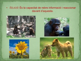 Relació : És la capacitat de rebre informació i reaccionar davant d’aquesta. 