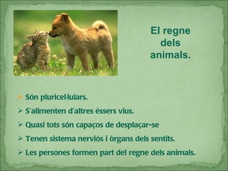 El regne dels animals. Són pluricel·lulars. S’alimenten d’altres éssers vius. Quasi tots són capaços de desplaçar-se Tenen sistema nerviós i òrgans dels sentits. Les persones formen part del regne dels animals. 