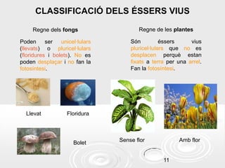 CLASSIFICACIÓ DELS ÉSSERS VIUS
Regne dels fongs

Regne de les plantes

Poden
ser
unicel·lulars
(llevats) o pluricel·lulars
(floridures i bolets). No es
poden desplaçar i no fan la
fotosíntesi.

Són
éssers
vius
pluricel·lulars que no es
desplacen perquè estan
fixats a terra per una arrel.
Fan la fotosíntesi.

Llevat

Floridura

Bolet

Sense flor

Amb flor

11

 