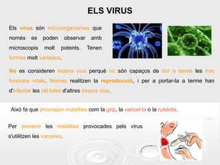 ELS VIRUS
Els virus són microorganismes que
només

es

microscopis

poden
molt

observar
potents.

amb
Tenen

formes molt variades.
No es consideren éssers vius perquè no són capaços de dur a terme les tres
funcions vitals. Només realitzen la reproducció, i per a portar-la a terme han

d'infectar les cèl·lules d'altres éssers vius.
Això fa que provoquin malalties com la grip, la varicel·la o la rubèola.
Per prevenir les malalties provocades pels virus
s'utilitzen les vacunes.

13

 