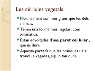 Les cèl·lules vegetals
Normalment són més grans que les dels
animals.
Tenen una forma més regular, com
prismàtica.
Estan envoltades d’una paret cel·lular ,
que és dura.
Aquesta paret fa que les branques i els
troncs, a vegades, siguin tan durs.
 