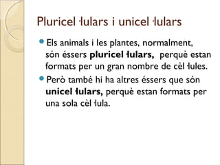 Pluricel·lulars i unicel·lulars
Els animals i les plantes, normalment,
són éssers pluricel·lulars, perquè estan
formats per un gran nombre de cèl·lules.
Però també hi ha altres éssers que són
unicel·lulars, perquè estan formats per
una sola cèl·lula.
 