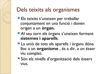 Dels teixits als organismes
Els teixits s’uneixen per treballar
conjuntament en una funció i donen
origen a un òrgan.
Al seu torn els òrgans s’uneixen formant
sistemes i aparells.
La unió de tots els aparells i òrgans dóna
lloc a un organisme , és a dir, a un ésser
viu complet.
Són els nivells d’organització dels éssers
vius.
 