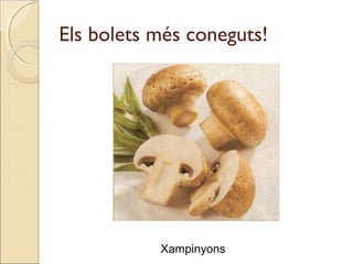 Els bolets més coneguts!
Xampinyons
 