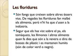 Les floriduresLes floridures
Són fongs que creixen sobre altres éssers
vius. De vegades les floridures fan malbé
els aliments, però n’hi ha que s’usen a la
indústria.
Segur que els has vist sobre el pa, els
tomàquets, les llimones i altres aliments
quan fa dies que són a la nevera o dins de
bosses de plàstic i es mantenen humits
(són de color verd o negre).
 
