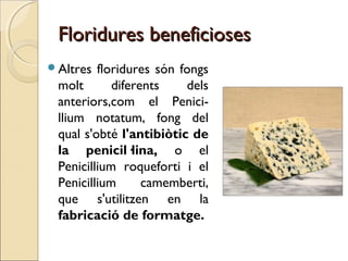 Floridures beneficiosesFloridures beneficioses
Altres floridures són fongs
molt diferents dels
anteriors,com el Penici-
llium notatum, fong del
qual s'obté l'antibiòtic de
la penicil·lina, o el
Penicillium roqueforti i el
Penicillium camemberti,
que s'utilitzen en la
fabricació de formatge.
 