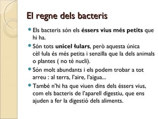 El regne dels bacterisEl regne dels bacteris
Els bacteris són els éssers vius més petits que
hi ha.
Són tots unicel·lulars, però aquesta única
cèl·lula és més petita i senzilla que la dels animals
o plantes ( no té nucli).
Són molt abundants i els podem trobar a tot
arreu : al terra, l’aire, l’aigua...
També n’hi ha que viuen dins dels éssers vius,
com els bacteris de l’aparell digestiu, que ens
ajuden a fer la digestió dels aliments.
 