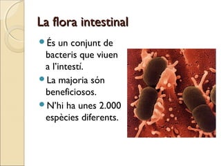 La flora intestinalLa flora intestinal
És un conjunt de
bacteris que viuen
a l’intestí.
La majoria són
beneficiosos.
N’hi ha unes 2.000
espècies diferents.
 