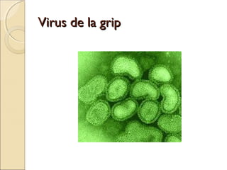 Virus de la gripVirus de la grip
 