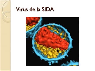 Virus de la SIDAVirus de la SIDA
 
