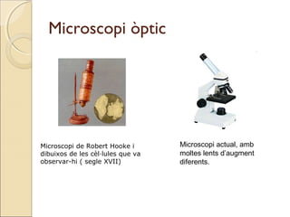 Microscopi òptic
Microscopi de Robert Hooke i
dibuixos de les cèl·lules que va
observar-hi ( segle XVII)
Microscopi actual, amb
moltes lents d’augment
diferents.
 