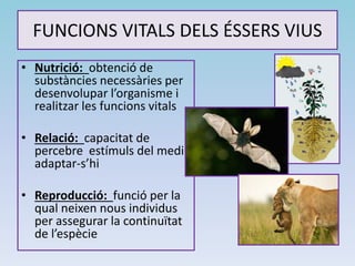 FUNCIONS VITALS DELS ÉSSERS VIUS
• Nutrició: obtenció de
substàncies necessàries per
desenvolupar l’organisme i
realitzar les funcions vitals
• Relació: capacitat de
percebre estímuls del medi i
adaptar-s’hi
• Reproducció: funció per la
qual neixen nous individus
per assegurar la continuïtat
de l’espècie
 