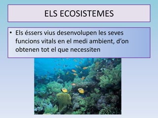 ELS ECOSISTEMES
• Els éssers vius desenvolupen les seves
funcions vitals en el medi ambient, d’on
obtenen tot el que necessiten
 