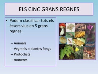 ELS CINC GRANS REGNES
• Podem classificar tots els
éssers vius en 5 grans
regnes:
– Animals
– Vegetals o plantes fongs
– Protoctists
– moneres
 