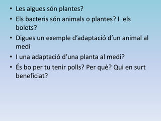 • Les algues són plantes?
• Els bacteris són animals o plantes? I els
bolets?
• Digues un exemple d’adaptació d’un animal al
medi
• I una adaptació d’una planta al medi?
• És bo per tu tenir polls? Per què? Qui en surt
beneficiat?
 