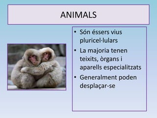 ANIMALS
• Són éssers vius
pluricel·lulars
• La majoria tenen
teixits, òrgans i
aparells especialitzats
• Generalment poden
desplaçar-se
 