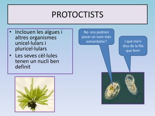PROTOCTISTS
• Inclouen les algues i
altres organismes
unicel·lulars i
pluricel·lulars
• Les seves cèl·lules
tenen un nucli ben
definit
I què me’n
dius de la fila
que fem!
No ens podrien
posar un nom més
estrambòtic?
 