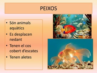 PEIXOS
• Són animals
aquàtics
• Es desplacen
nedant
• Tenen el cos
cobert d’escates
• Tenen aletes
 