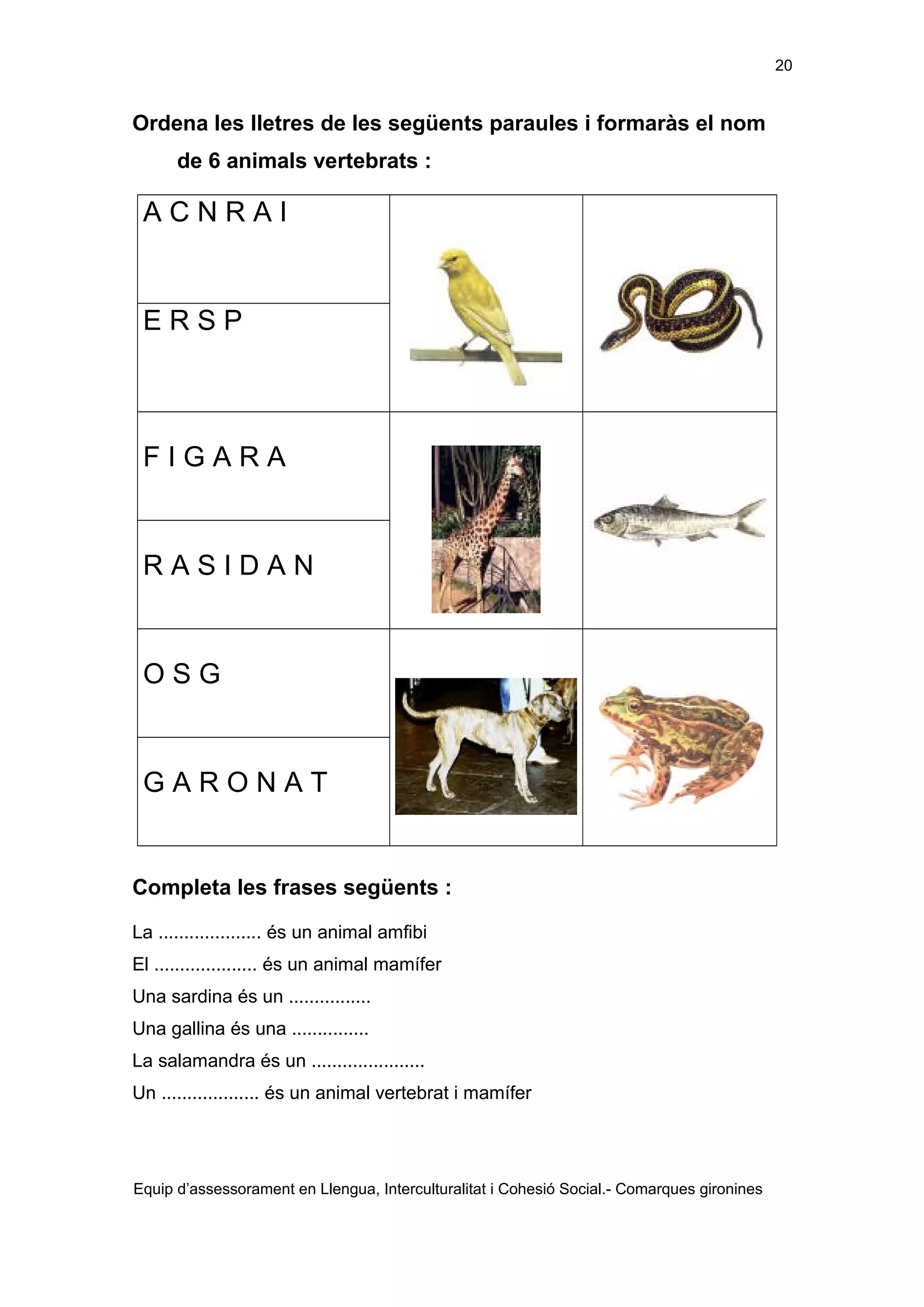 20

Ordena les lletres de les següents paraules i formaràs el nom
de 6 animals vertebrats :

ACNRAI

ERSP

FIGARA

RASIDAN

OSG

GARONAT

Completa les frases següents :
La .................... és un animal amfibi
El .................... és un animal mamífer
Una sardina és un ................
Una gallina és una ...............
La salamandra és un ......................
Un ................... és un animal vertebrat i mamífer

Equip d’assessorament en Llengua, Interculturalitat i Cohesió Social.- Comarques gironines

 