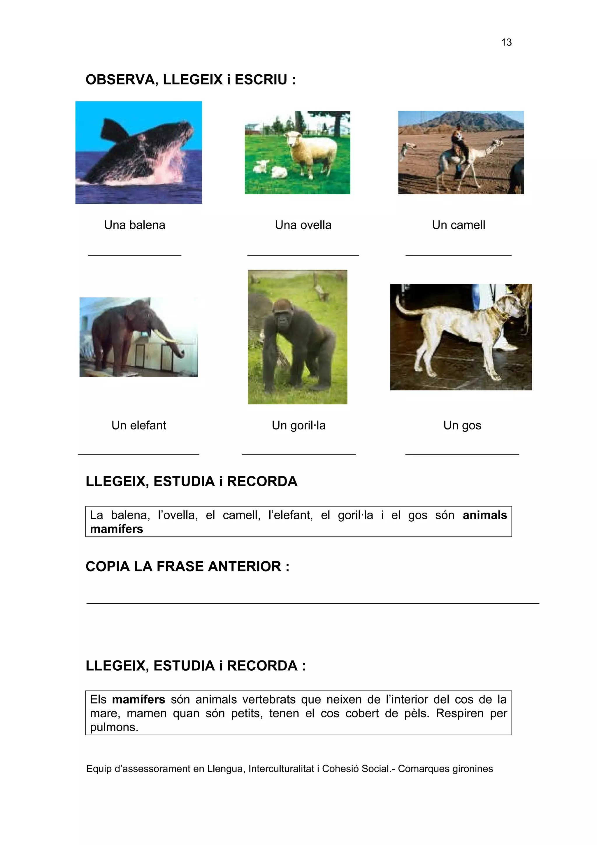 Els éssers vius adaptació