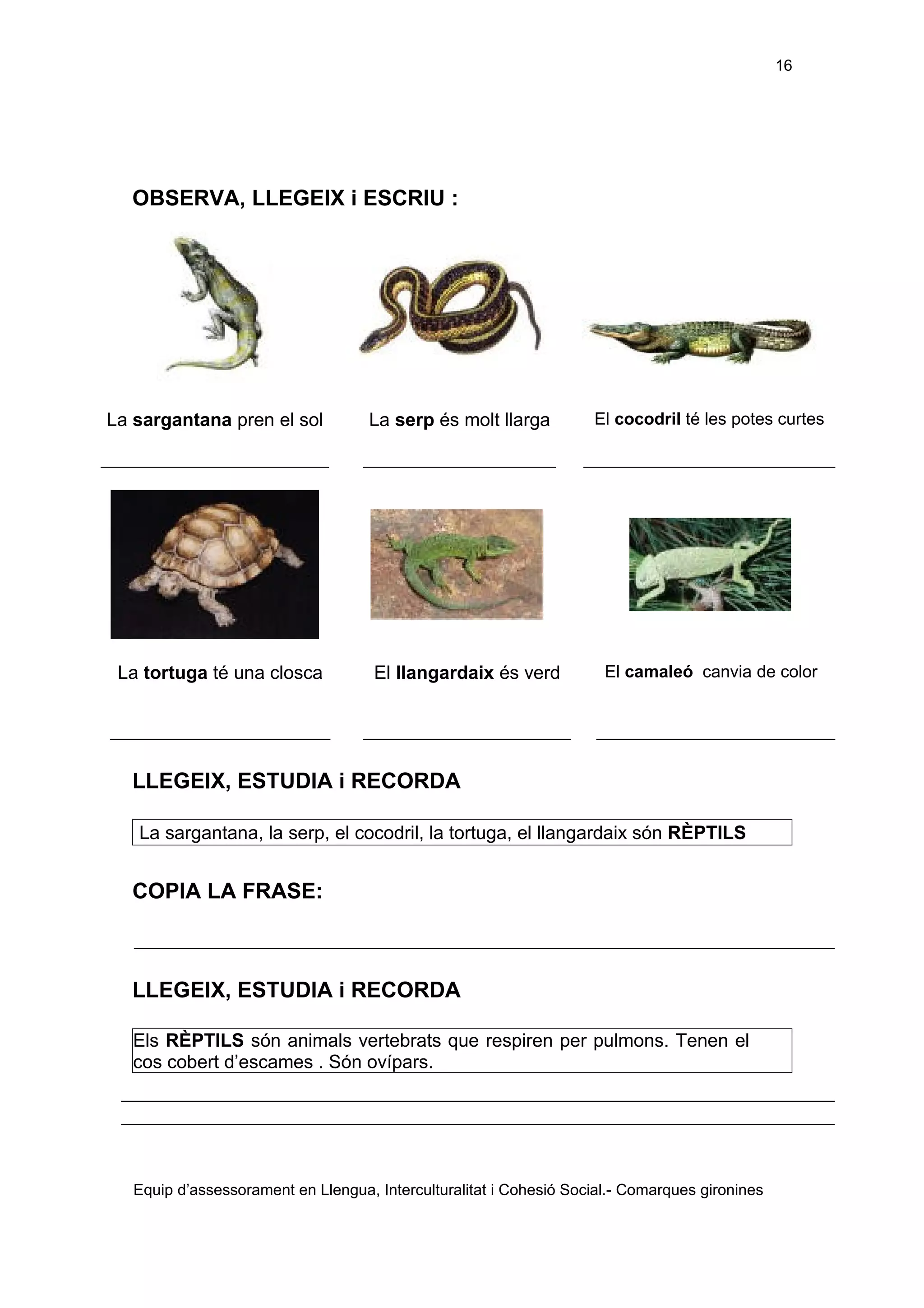 Els éssers vius adaptació