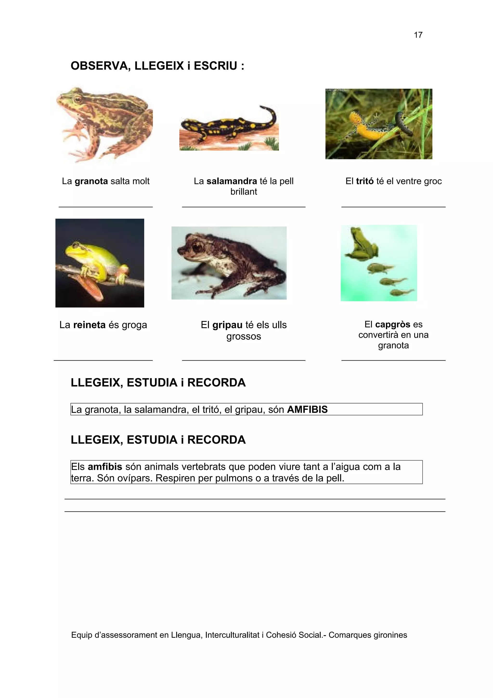 Els éssers vius adaptació