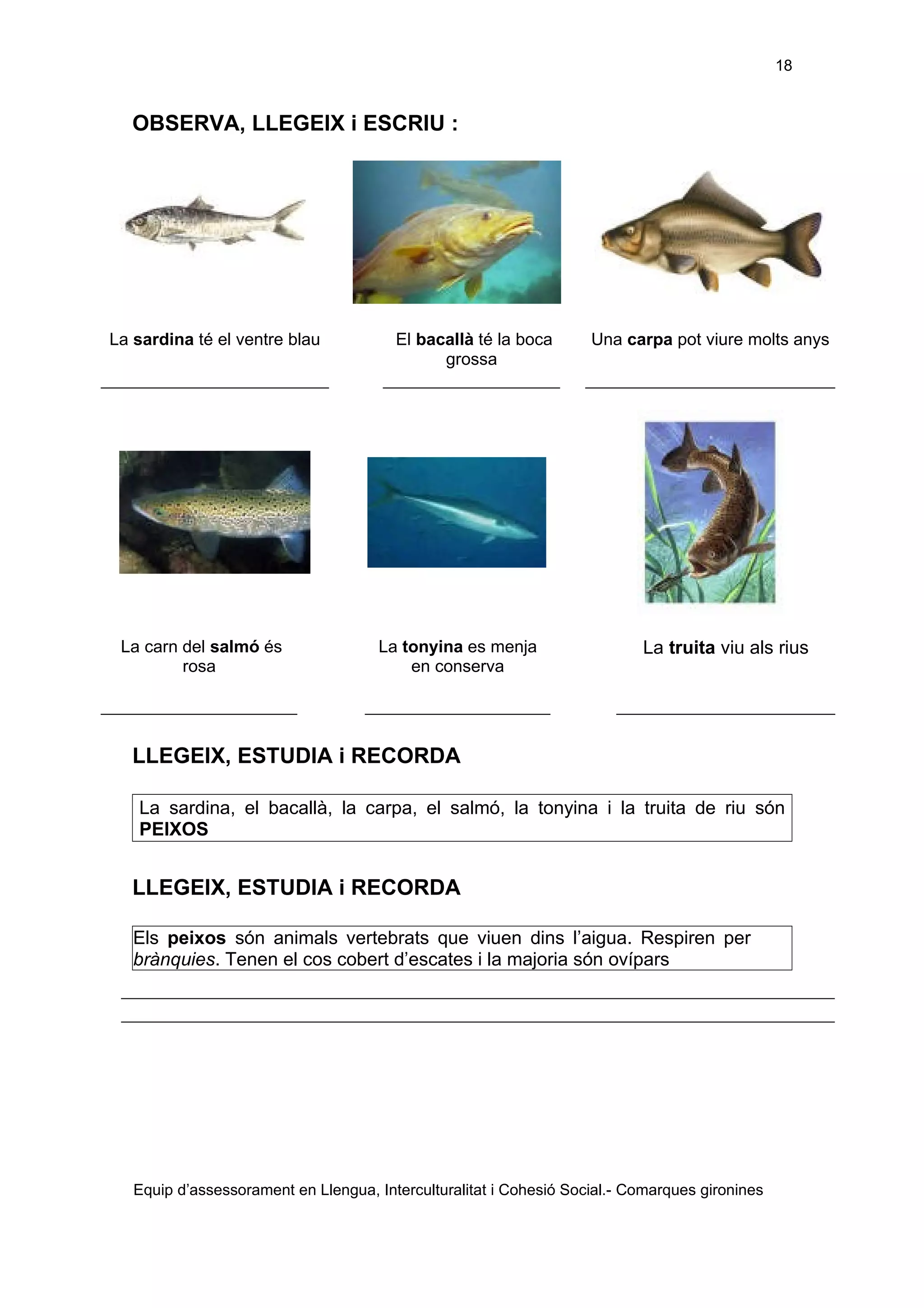 Els éssers vius adaptació