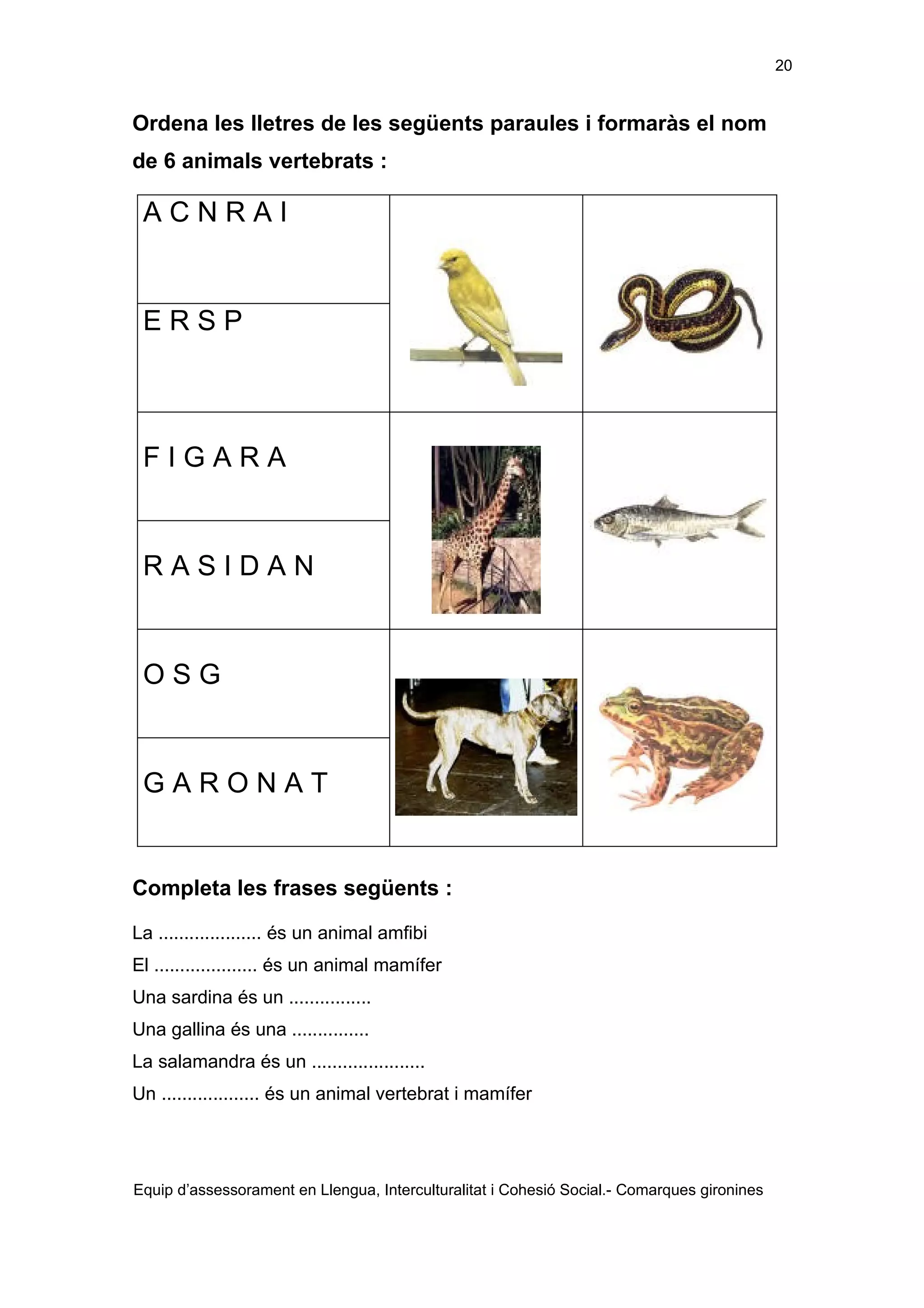 Els éssers vius adaptació