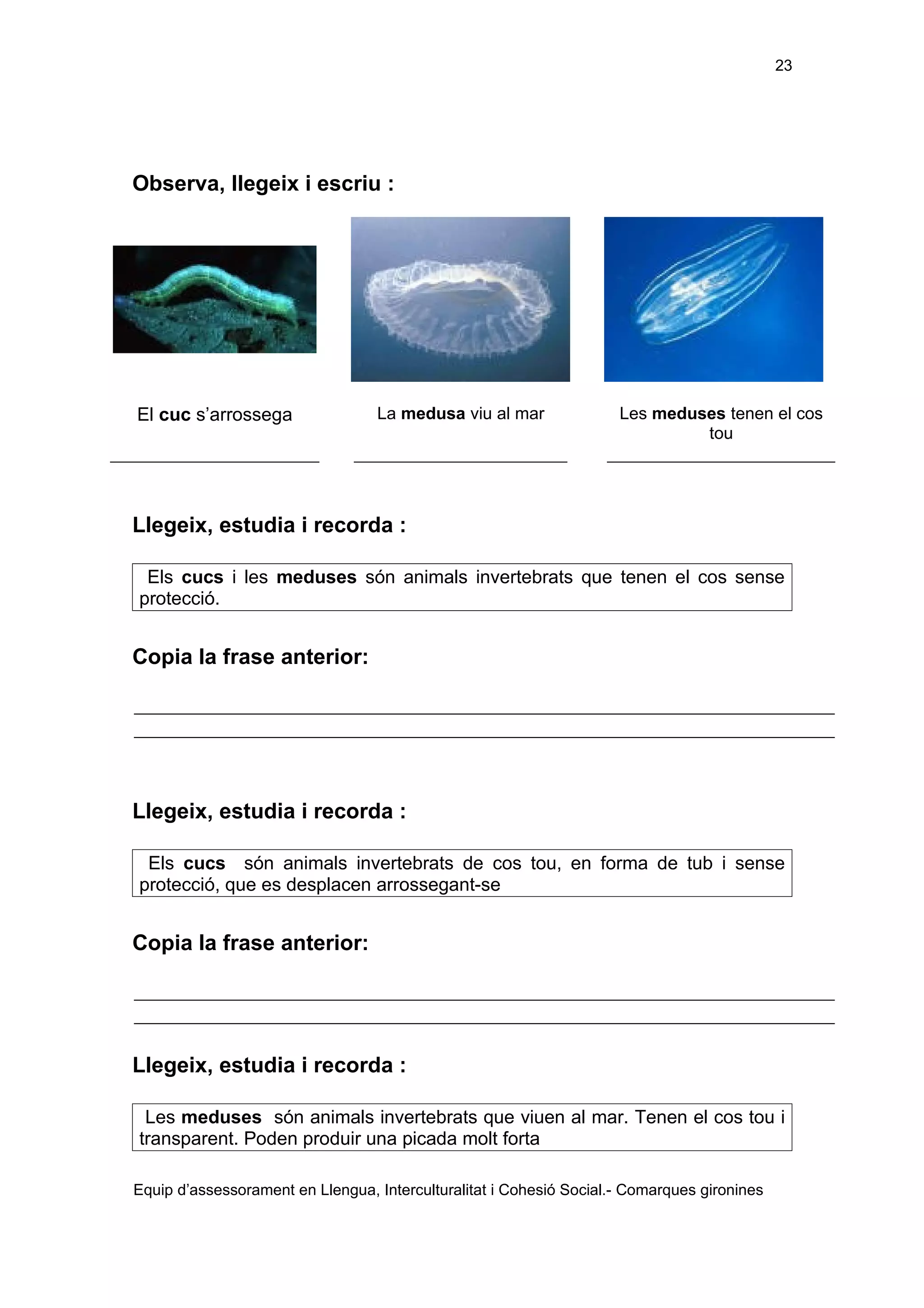 Els éssers vius adaptació