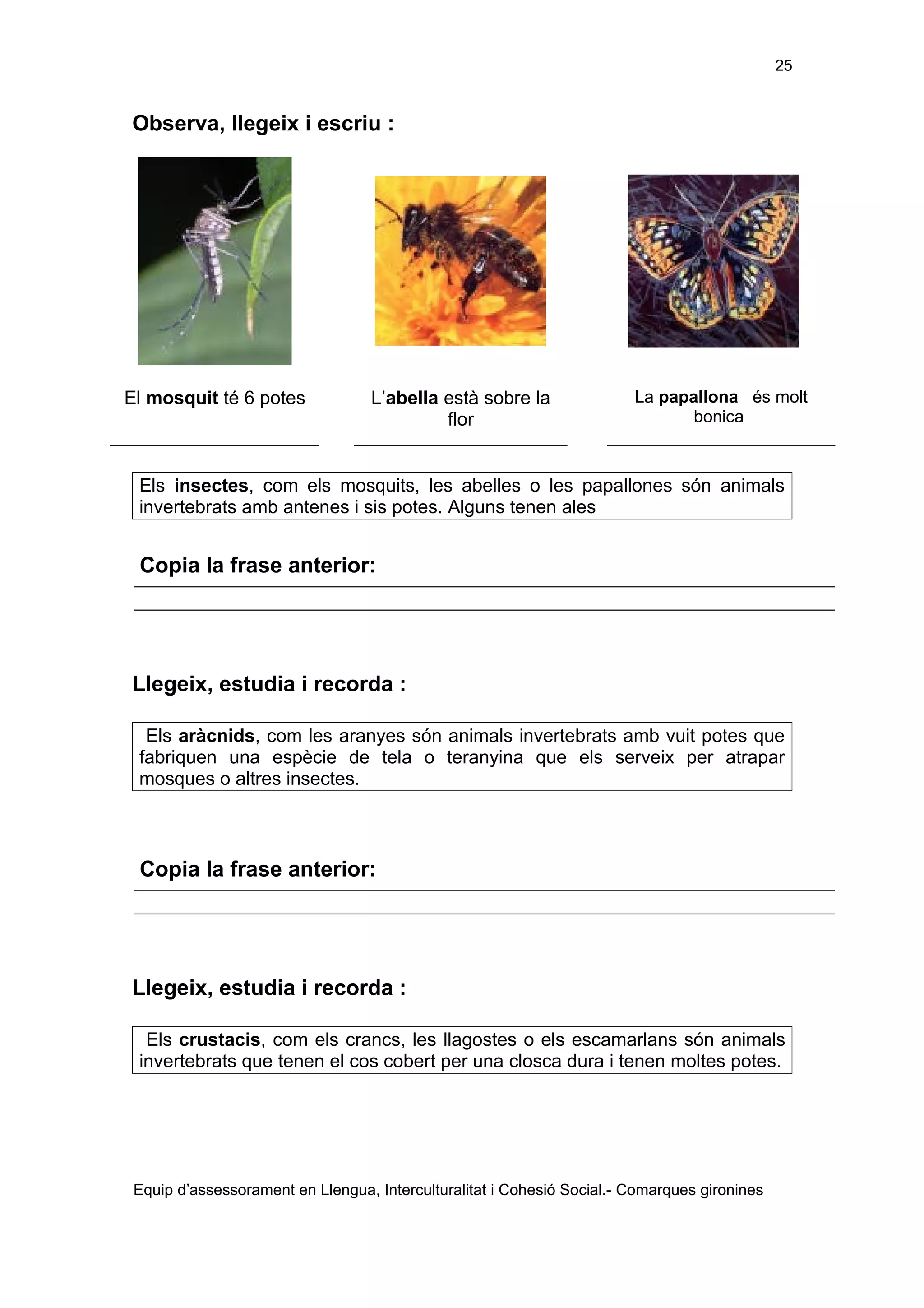 Els éssers vius adaptació