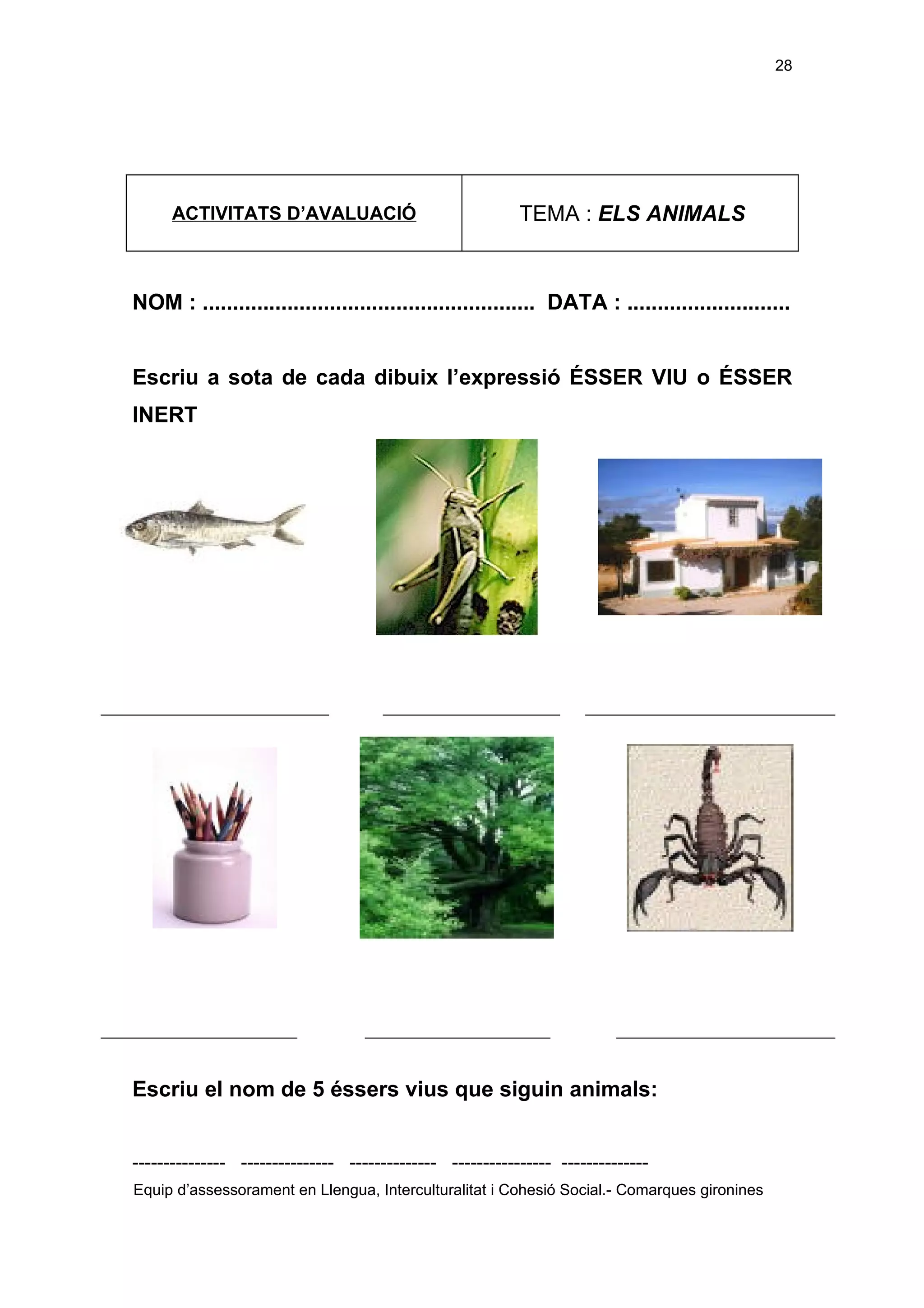 Els éssers vius adaptació