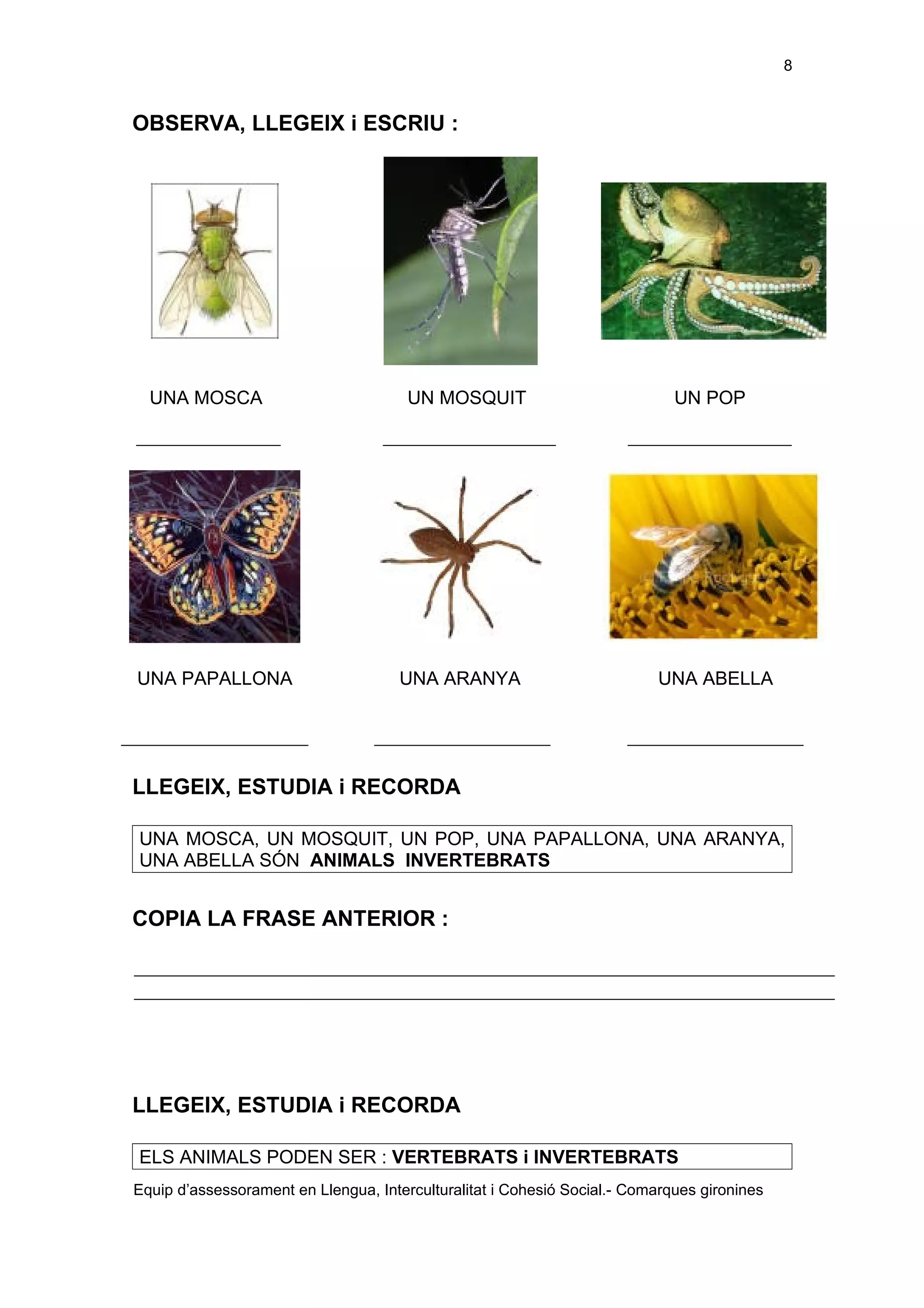 Els éssers vius adaptació