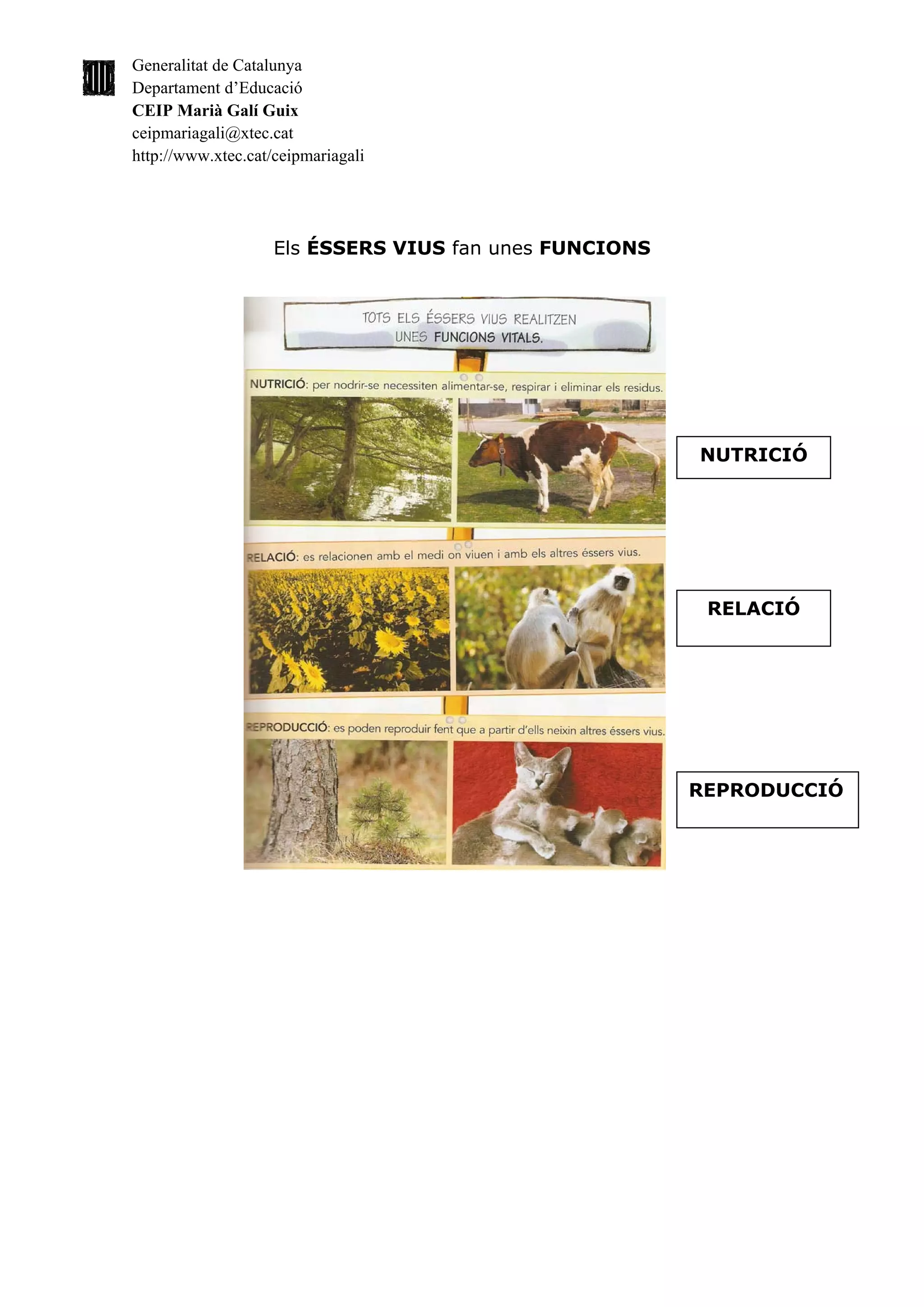 Generalitat de Catalunya
Departament d’Educació
CEIP Marià Galí Guix
ceipmariagali@xtec.cat
http://www.xtec.cat/ceipmariagali




                    Els ÉSSERS VIUS fan unes FUNCIONS




                                                        NUTRICIÓ




                                                         RELACIÓ




                                                        REPRODUCCIÓ
 