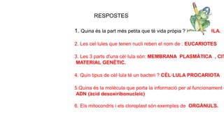 RESPOSTES
1. Quina és la part més petita que té vida pròpia ? LA CÈL·LULA.
2. Les cel·lules que tenen nucli reben el nom de : EUCARIOTES
3. Les 3 parts d'una cèl·lula són: MEMBRANA PLASMÀTICA , CIT
MATERIAL GENÈTIC.
4. Quin tipus de cèl·lula té un bacteri ? CÈL·LULA PROCARIOTA
5.Quina és la molècula que porta la informació per al funcionament d
ADN (àcid desoxiribonucleic)
6. Els mitocondris i els cloroplast són exemples de ORGÀNULS.
 