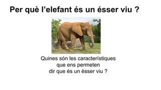 Per què l’elefant és un ésser viu ?
Quines són les característiques
que ens permeten
dir que és un èsser viu ?
 