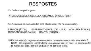 RESPOSTES
13. Ordena de petit a gran :
ÀTOM, MOLÈCULA, CÈL·LULA, ORGÀNUL, ÒRGAN, TEIXIT
14. Relaciona els noms de dalt amb els de sota ( n'hi ha un de cada).
CARBONI (ÀTOM) ESPERMATOZOIDE (CÈL·LULA) ADN ( MOLÈCULA )
MITOCONDRI (ORGÀNUL) RONYÓ (ÒRGAN )
15.Els bacteris són organismes unicel·lulars, et sembla que poden tenir teixits ?
NO !!! . Un organisme unicel·lular té una sola cèl·lula, en canvi un teixit està form
de moltes cèl·lules, per tant un bacteri no pot tenir teixits.
 