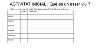 ACTIVITAT INICIAL : Què és un èsser viu ?
1. Respon en forma de taula. Són éssers vius ? (individual a la llibreta)
Si / No Justificació
elefant
esponja
gira-sol
mineral
espelma
bacteris
 