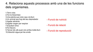 4. Relaciona aquests processos amb una de les funcions
dels organismes.
1.Tenir cries
2.Fer la fotosíntesi
3.Una planta que creix cap a la llum
4.Un animal que fuig del seu depredador
5.Agafar aliments
6.Agafar oxigen per respirar
7.Expulsar orina
8.Fer llavors
9.Tancar els ulls quan ens arriba molta llum
10.Absorbir aigua per les arrels
- Funció de nutrició
- Funció de relació
- Funció de reproducció
 