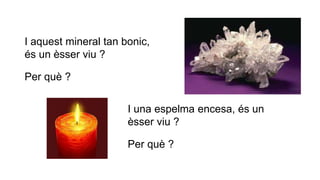 I aquest mineral tan bonic,
és un èsser viu ?
Per què ?
I una espelma encesa, és un
èsser viu ?
Per què ?
 